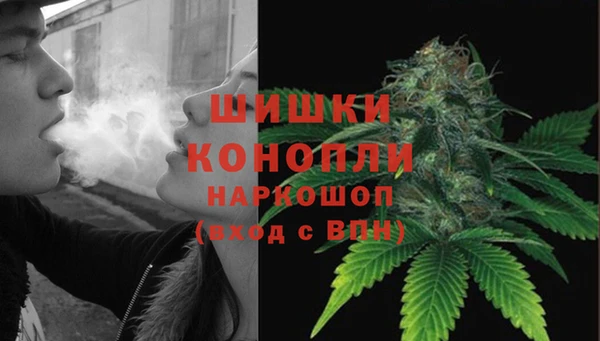 ПСИЛОЦИБИНОВЫЕ ГРИБЫ Алзамай