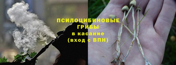 ПСИЛОЦИБИНОВЫЕ ГРИБЫ Алзамай
