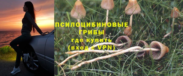 ПСИЛОЦИБИНОВЫЕ ГРИБЫ Алзамай
