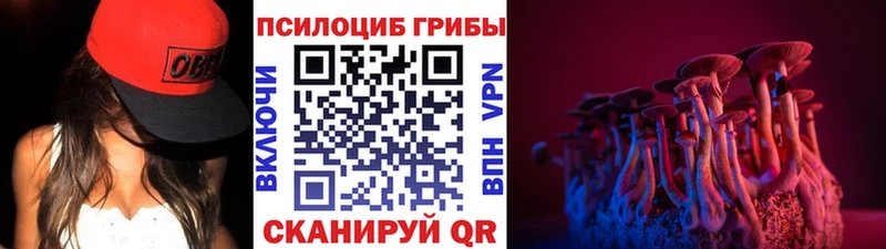 Псилоцибиновые грибы прущие грибы  ОМГ ОМГ вход  Туринск 